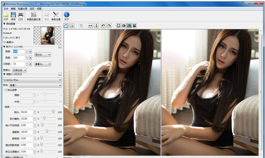 PhotoZoom Pro V8.0.6图片无损放大专业破解版 PhotoZoom Pro V8.0.6图片无损放大专业破解版