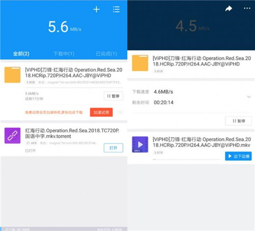 最新迅雷不限速安卓绿化版v9.9.9 最新迅雷不限速安卓绿化版v9.9.9