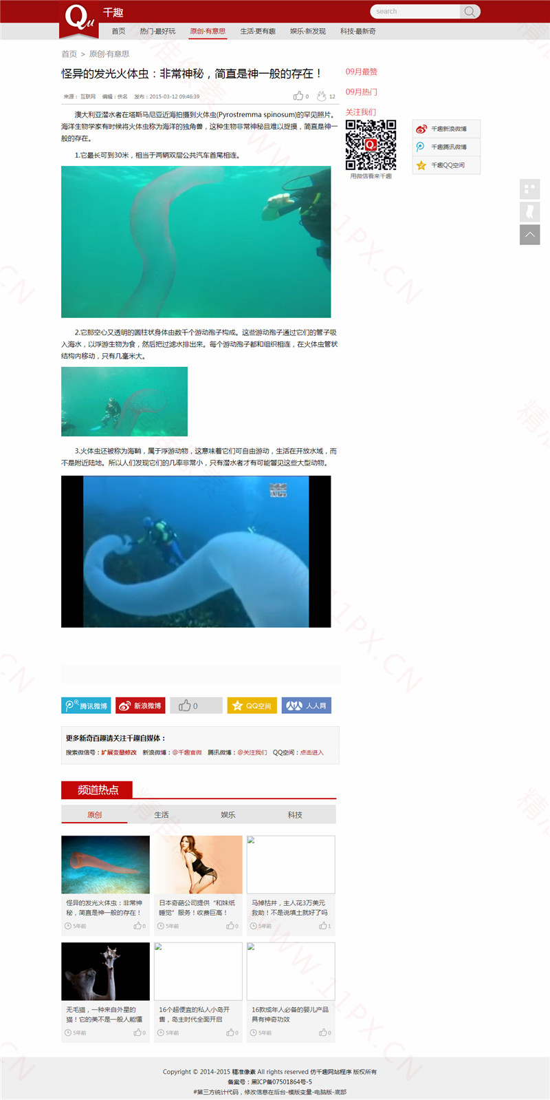内容页 内容页