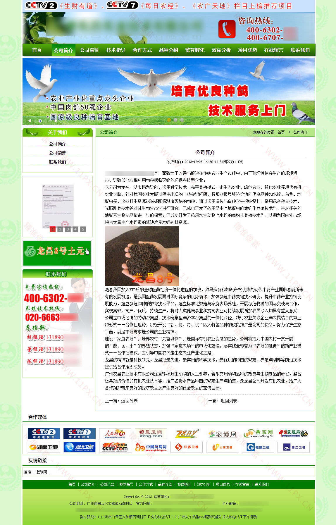 内容页 内容页