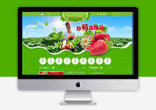电脑端绿色水果蔬菜网站织梦CMS模板-带手机
